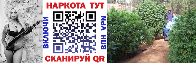 Хочу наркоту Нальчик ТГК  Меф 