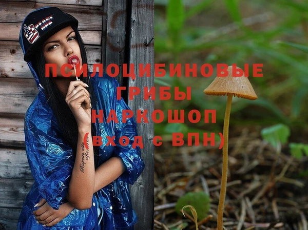 винт Володарск