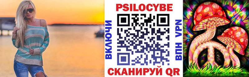 Псилоцибиновые грибы Magic Shrooms цены Нальчик