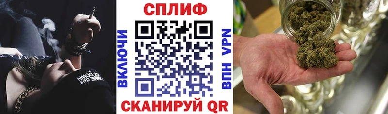 Каннабис индика  Нальчик 